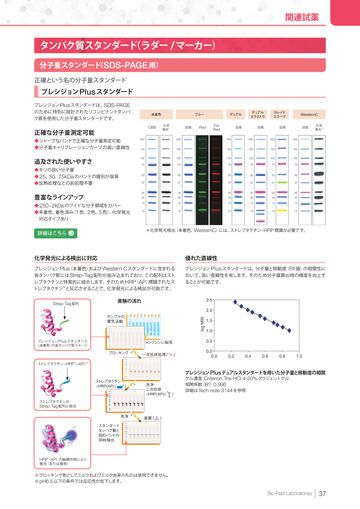 電気泳動ウェスタンイメージャーカタログ ページ 37