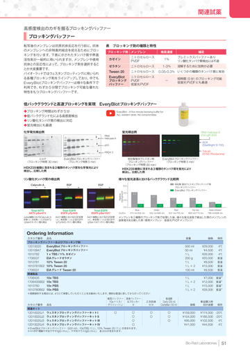 電気泳動ウェスタンイメージャーカタログ