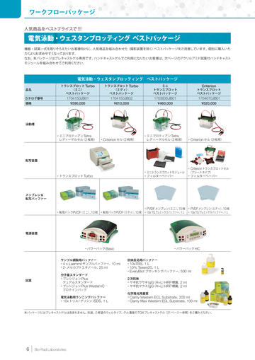 電気泳動ウェスタンイメージャーカタログ