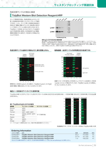 電気泳動ウェスタンイメージャーカタログ